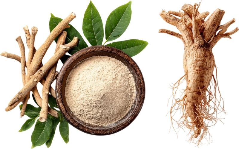 Adaptogen Herbal Supplement